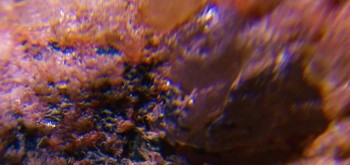 2017-02-23 06-33-18 (2).JPG