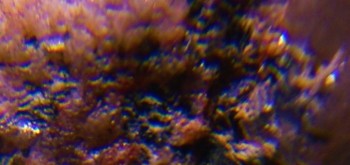 2017-02-23 06-33-18 (3).JPG