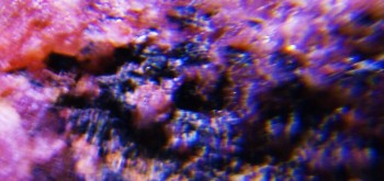 2017-02-23 06-33-30 (2).JPG