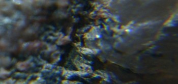 2017-02-23 06-33-44 (3).JPG