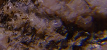 2017-02-23 06-35-04 (3).JPG