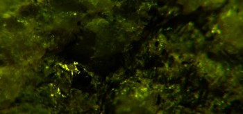 2017-02-23 06-35-12 (2).JPG