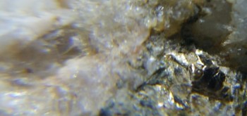 2017-02-23 06-35-12 (4).JPG