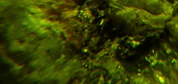 2017-02-23 06-35-12 (5).JPG