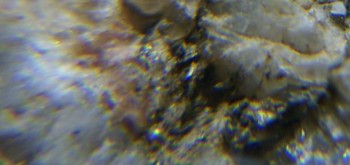 2017-02-23 06-35-12 (6).JPG