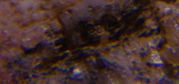 2017-02-23 06-35-26 (2).JPG