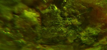 2017-02-23 06-35-42 (4).JPG