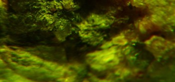 2017-02-23 06-35-42 (5).JPG