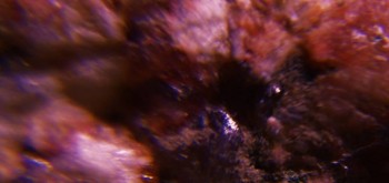 2017-02-23 06-35-42 (6).JPG