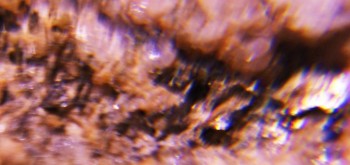 2017-02-23 06-36-30 (3).JPG