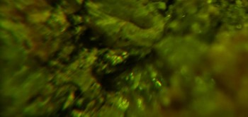 2017-02-23 06-36-30 (4).JPG