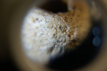 2017-03-21 20-36-36.JPG