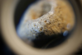 2017-03-21 20-33-56.JPG