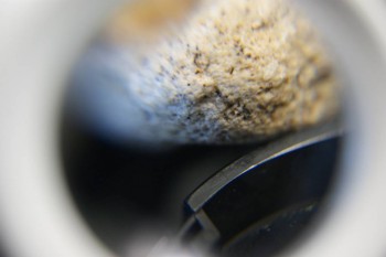 2017-03-21 20-31-08.JPG