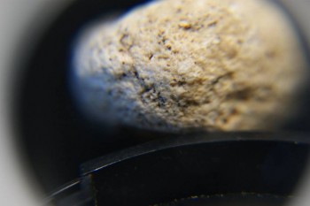 2017-03-21 20-30-42.JPG