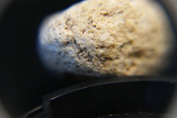 2017-03-21 20-30-34.JPG