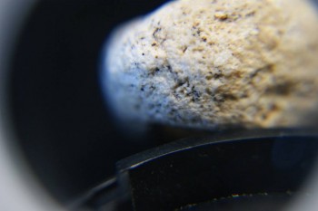 2017-03-21 20-30-26.JPG