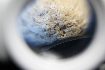 2017-03-21 20-30-04.JPG