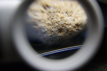 2017-03-21 20-29-20.JPG