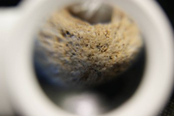 2017-03-21 20-29-00.JPG