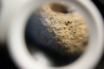 2017-03-21 20-28-40.JPG