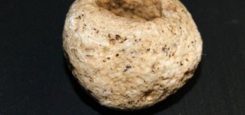 2017-03-21 20-26-26 (3).JPG