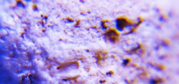 2017-03-21 20-28-40 (2).JPG