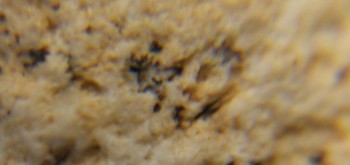 2017-03-21 20-29-00 (2).JPG