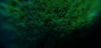 2017-03-21 20-29-00 (3).JPG