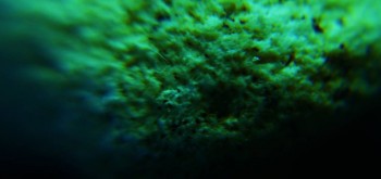 2017-03-21 20-29-20 (2).JPG