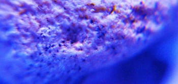 2017-03-21 20-29-20 (3).JPG