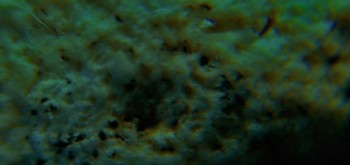 2017-03-21 20-29-20 (4).JPG