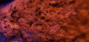 2017-03-21 20-30-26 (2).JPG