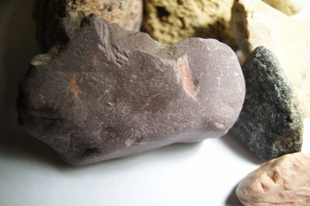 2017-03-24 20-12-28.JPG