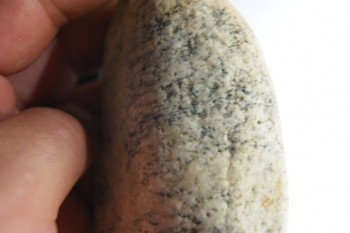 2017-03-24 19-46-30.JPG