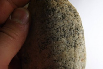 2017-03-24 19-46-12.JPG