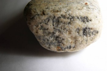 2017-03-24 19-43-46.JPG