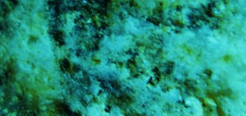 2017-03-24 20-23-00 (9).JPG