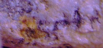 2017-03-24 20-23-00 (8).JPG