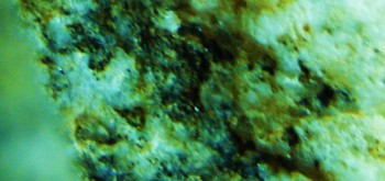 2017-03-24 20-23-00 (7).JPG