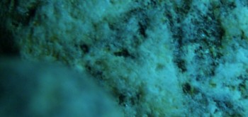 2017-03-24 20-23-00 (6).JPG