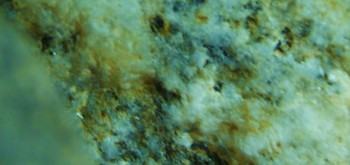 2017-03-24 20-23-00 (5).JPG