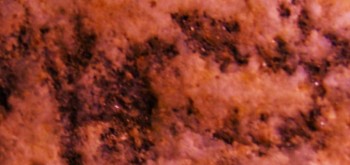 2017-03-24 20-23-00 (4).JPG