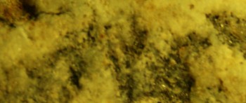 2017-03-24 20-23-00 (3).JPG