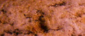 2017-03-24 20-23-00 (2).JPG