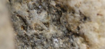 2017-03-24 20-22-32 (2).JPG