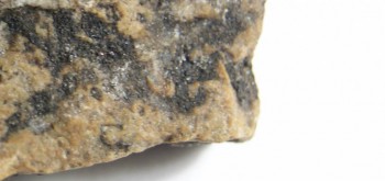 2017-03-24 19-46-58 (8).JPG