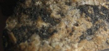 2017-03-24 19-46-58 (7).JPG