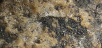 2017-03-24 19-46-58 (4).JPG