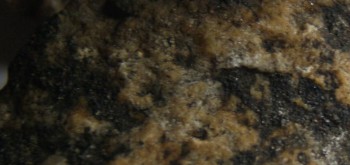 2017-03-24 19-47-06 (3).JPG